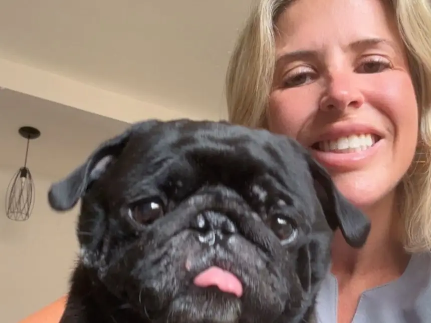 Vacinação domiciliar de pets – Vet's Home