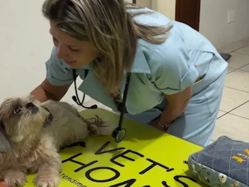 Consultas veterinárias domiciliares – Vet's Home